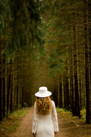 Walking Through Northern Hardwood Forest